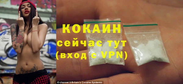 индика Арсеньев