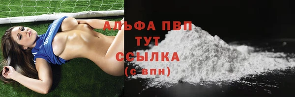 индика Арсеньев