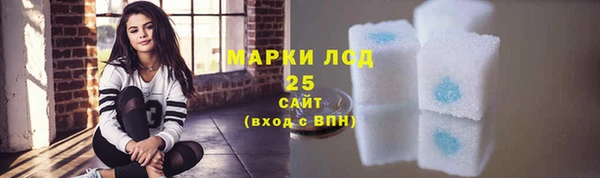индика Арсеньев