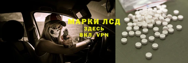 индика Арсеньев