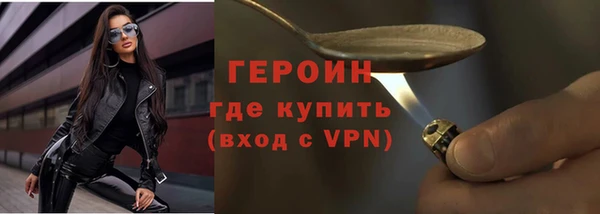 индика Арсеньев