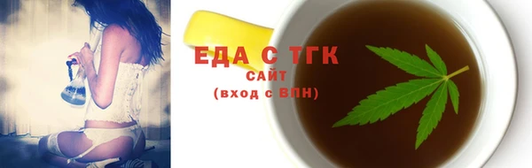 индика Арсеньев