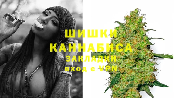 индика Арсеньев