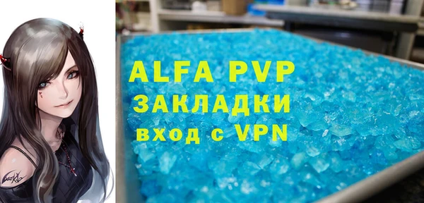 индика Арсеньев