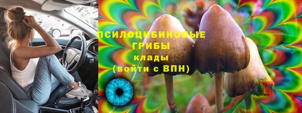 индика Арсеньев