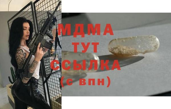 индика Арсеньев