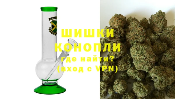 индика Арсеньев